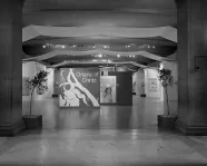 View of the Exhibition “Origins of Chintz”
