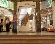 Ce rhinocéros blanc est un spécimen rare et la pièce maîtresse de la galerie Life in Crisis : Galerie Schad de la biodiversité.