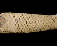 Momie avec insertion d'un panneau de portrait d'un jeune ; 80-100 CE.