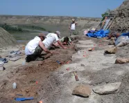 L'équipe du Southern Alberta Dinosaur Project creuse dans un lit d'ossements.
