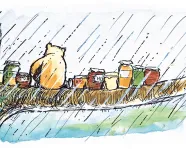 L'histoire de l'ourson