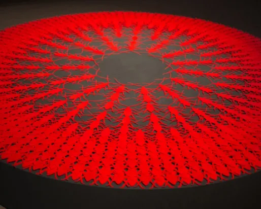 Infiltration, 2015, 56 inch dia. x 5 inches, Laser-cut Acrylic on wooden platform, Photo credit: Tazeen Qayyum
