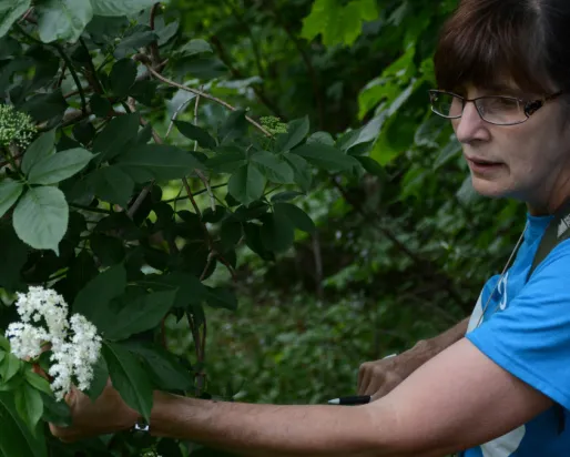 Deb Metsger sur le terrain.
