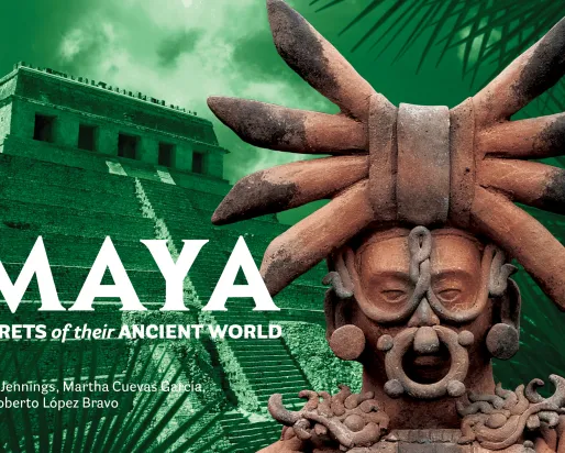 Book cover of Maya
