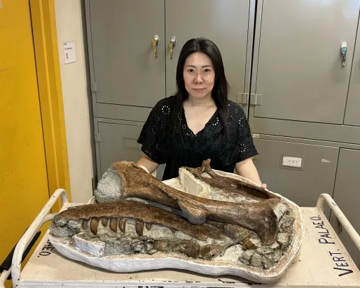 Shino Sugimoto avec un moulage de fossile de dinosaure.