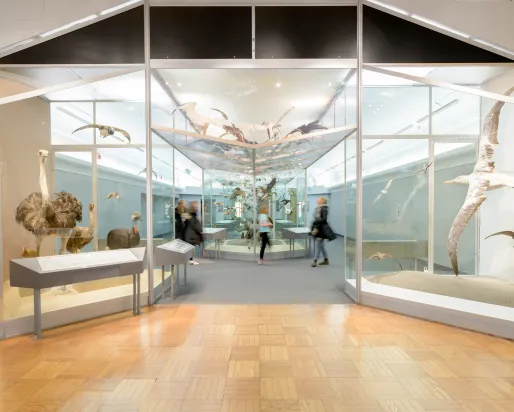 Des personnes se déplacent dans une galerie entourée d'oiseaux suspendus en plein vol.