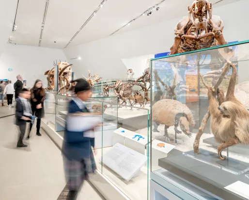 Children rush around looking at skeletons of mammals. A sloth and armadillo are visible in the foreground, and a large Mastodon skeleton looms in the background.
