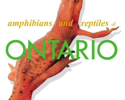 Couverture du livre A Field Guide to Amphibians and Reptiles of Ontario (Guide de terrain pour les amphibiens et les reptiles de l'Ontario)