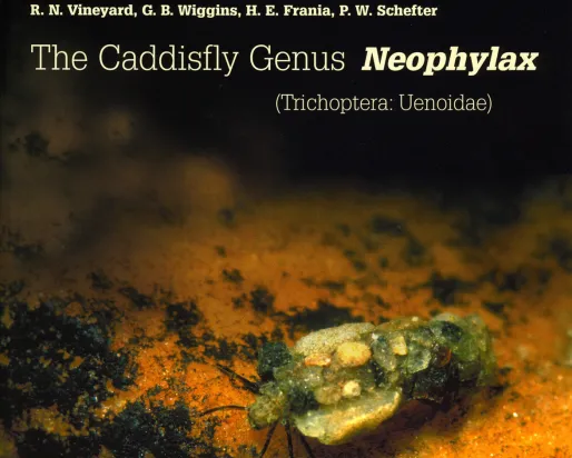Front cover of the book The Caddisfly Genus Neophylax (Trichoptera: Uenoidae)
