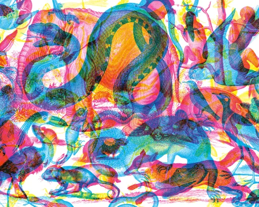 Illustration using red, green, and blue overlapping animal shapes