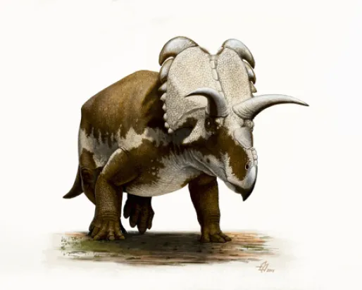 Medusaceratops. Avec l'aimable autorisation d'Andrey Atuchin.
