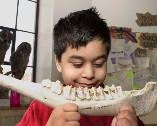 Kid with jawbone