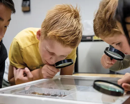 Children at March Break camp looking through magnifying glass