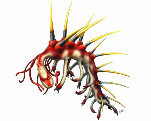 Hallucigenia
