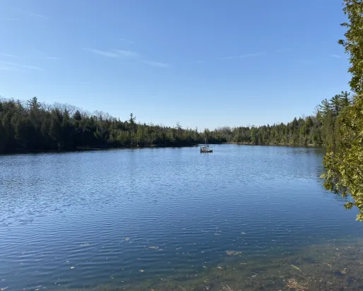 A serene lake encircled by lush trees, featuring a small boat gently floating on the water's surface.