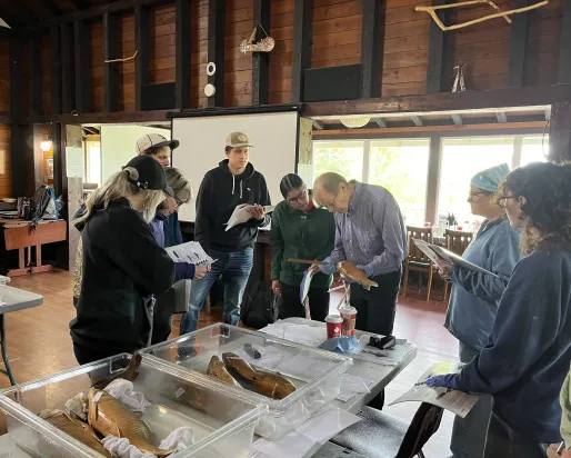 Group of students looking at fish.