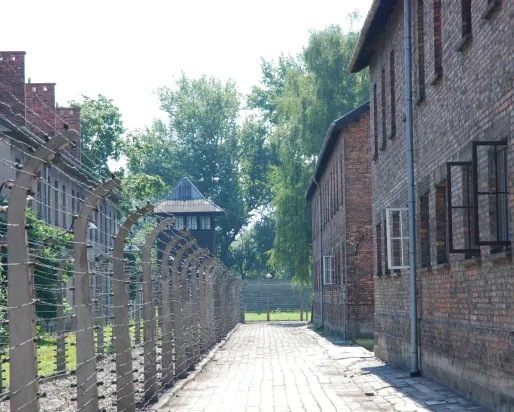  A camp street next to a fence. On the left are blocks 1 and 12. On the right—the commandant office building. Image Author: Paweł Sawicki, Auschwitz-Birkenau State Museum