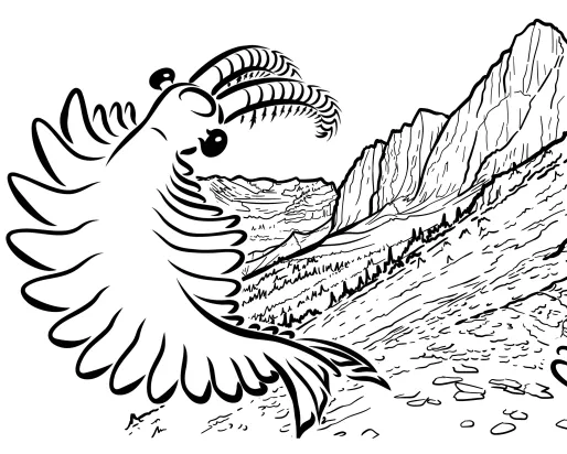 Illustration of Burgess Shale