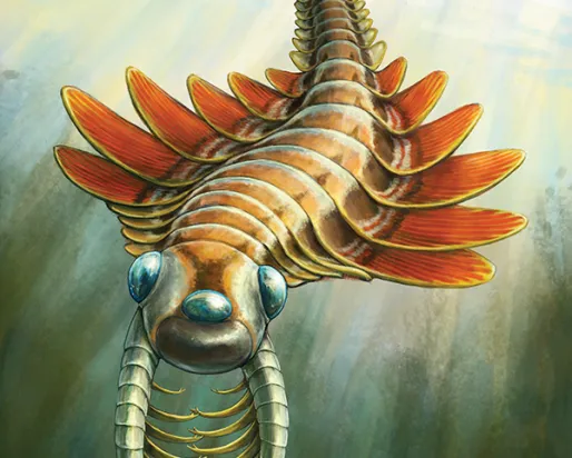 Life reconstruction of Mosura fentoni, art by Danielle Dufault © ROM