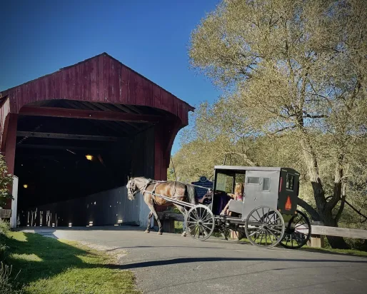 Horse and buggy entering Kissing Bridge 