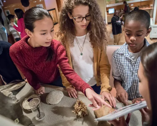 Students interacting with a collection item at ROM