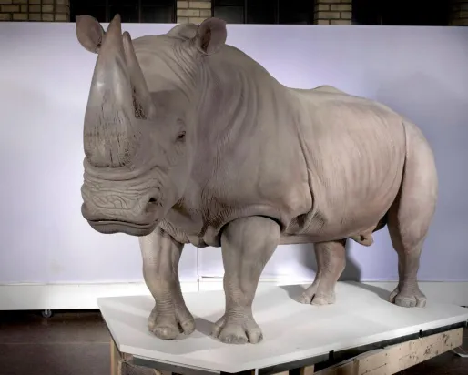 White Rhinoceros replica