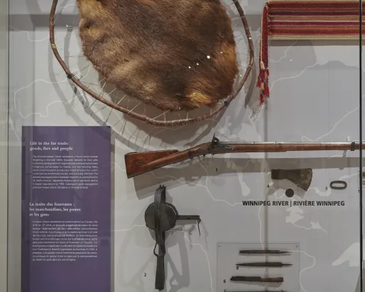 Fur displayed in casing with a hunting rifle 