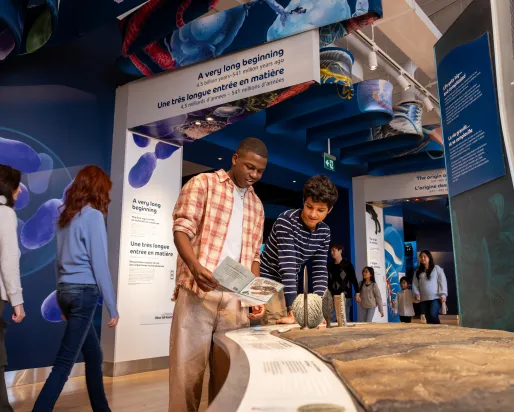 Two teenagers examine a display of ancient life