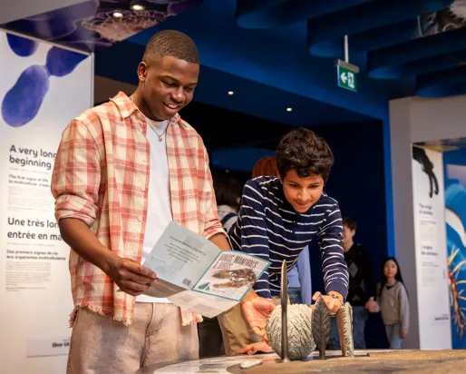 Two teenagers examine a display of ancient life