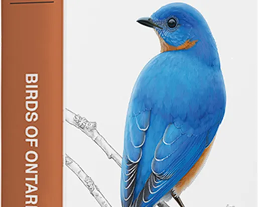 A Field guide to Birds on Ontario book cover