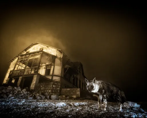 Ghost Town Visitor by South Africa’s Wim van den Heever