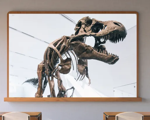 A screen in a classroom shows a dark brown skeleton of a Tyrannosaurus rex in a white gallery.