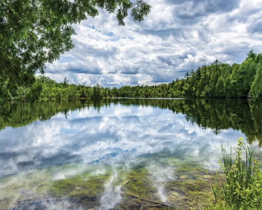 Photo of Crawford Lake 