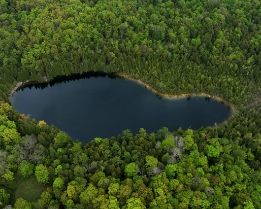 Arial view still of Crawford Lake taken from video