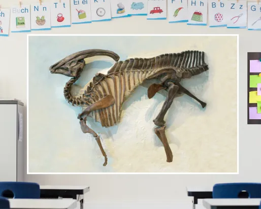 A screen in a colourful classroom shows a dark brown skeleton of a parasaurolophus, a duck-billed dinosaur with a crested skull, on a beige background.