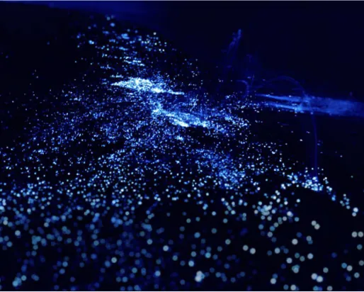 Illuminated Plankton 