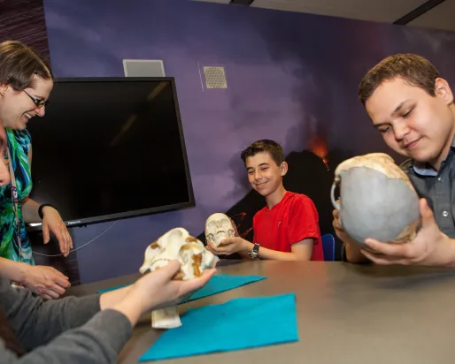 Three diverse smiling students hold replica early human skulls while talking to an educator.