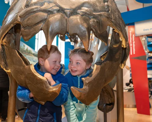 Kids in Dunkleosteus 