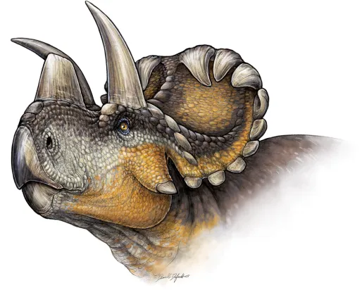 Life reconstruction of Wendiceratops pinhornenis. Credit: Danielle Dufault.