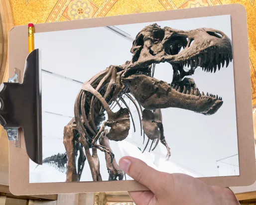 A hand holds a clipboard in front of a gallery with a mosaic ceiling. The clipboard is holding a picture of a Tyrannosaurus rex skeleton