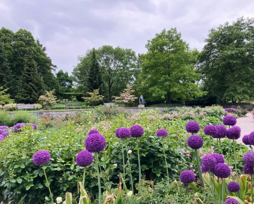 Royal Botanical Garden - Hendrie Park