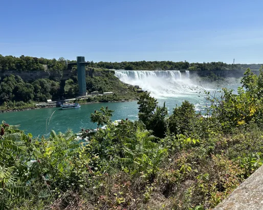 American Falls, © C. Chandran.