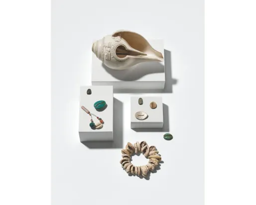 A selection of shells including cowries and imitation material from the Indian Ocean world. 