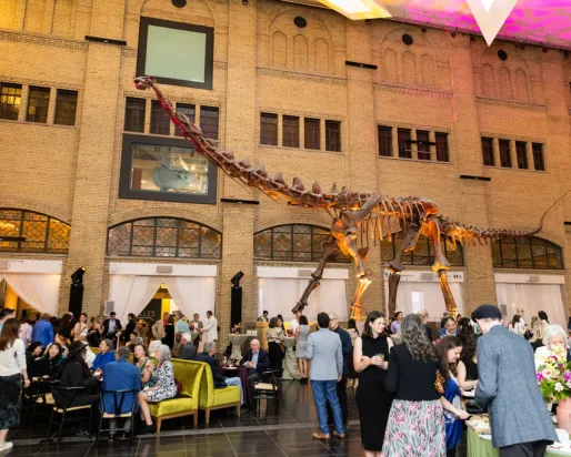 Guests gather beneath a towering Barosaurus skeleton in the Royal Ontario Museum's Samuel Hall Currelly Gallery during ROM Celebration 2026.