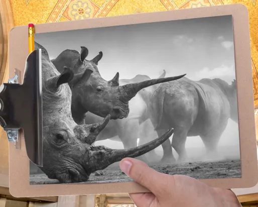 A hand holds a clipboard in front of a gallery with a mosaic ceiling. The clipboard is holding a picture of several rhinoceroses.