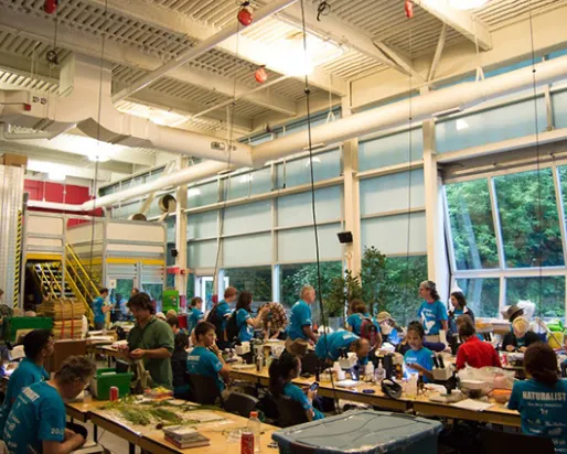 Vue d'ensemble du dépôt d'espèces lors du BioBlitz de l'Ontario 2015, où les scientifiques ramènent des spécimens à examiner et à identifier sur des tables munies de microscopes et de guides de terrain. Photo par Krystal Seedial
