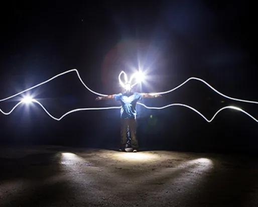 The ROM’s very own ‘Batman’, Assistant Curator of Mammalogy, Dr. Burton Lim with "bat wings" outlined with light in a long exposure photo. Credit: Vincent Luk

