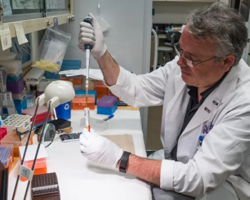 ROM technician Oliver Haddrath extracting a DNA sample from blue whale tissue. Photo by Connor McDowell
