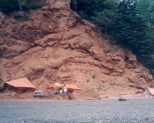 These rock layers near Parrsboro, Nova Scotia, hold Canada’s oldest dinosaurs. They are near the boundary of two chapters of geologic time – the Triassic and Jurassic Periods of the Mesozoic Era. (Photo by Victoria Arbour)
