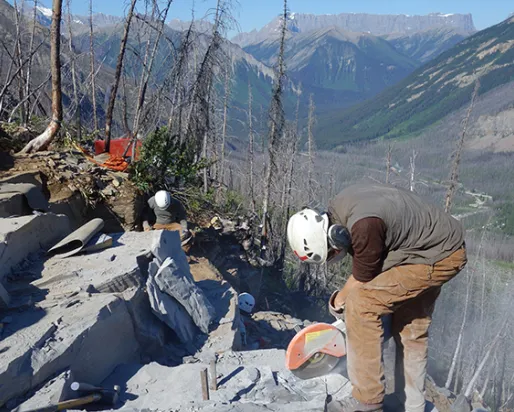 Students working at fossil site on the mountain side.
